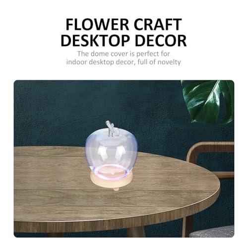 Cúpula de vidrio transparente con base luminosa para decoración y figuras 4