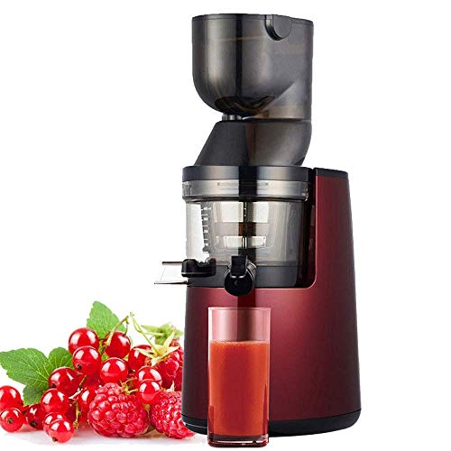 ERoomQ Juicer Machines,Slow Masticating Juicer Extractor Cold Press Juicer with Quiet Motor/Reverse Function for Fruits, Vegetables, Making Juice
