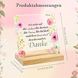 Solinorex B0FR9HTKQR lato 2