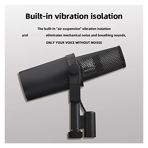 Microphone radio et câble de doublage pour studio de voix off