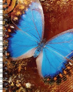 Spiral-bound Wire-o Journal - Blue Butterfly - ..Medium ( Lined both sides - Black wire-o ) Book