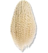 PIB 26” Single Full Lace Braid Wig – Micro Boho Water Wave Box Braided Wig, Knotless Braided Wigs...