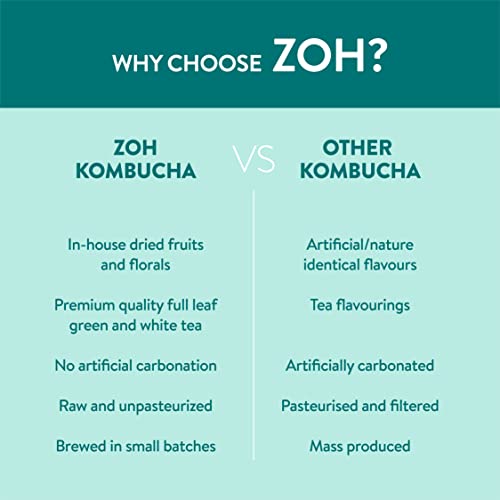 Image of Zoh Probiotics Mint Kombucha | (330 ml, Pack of 6) Tea with detoxifying acids, and digestive enzymes. Raw, unfiltered, and unpasteurized with Mother | Made with real mint tea