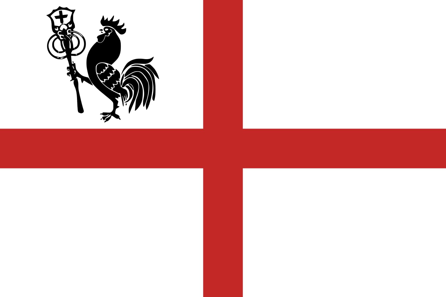 Drapeau de la Romagne grand format paysage pour mât extérieur