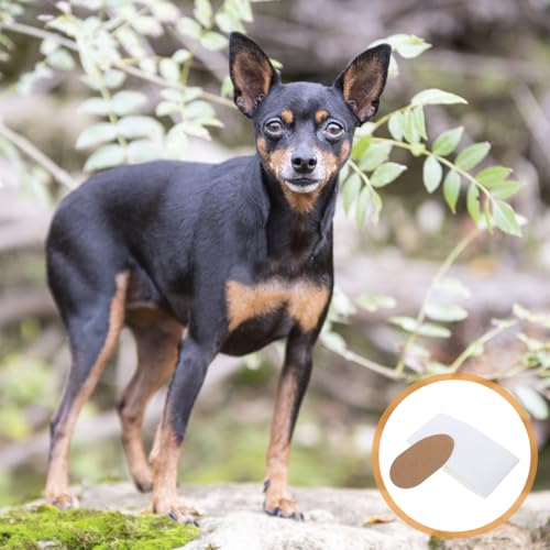 Image of HANABASS Dog Ear Stand Up Support Stickers, Soft Adhesive Tape for Puppy and Adult Ear Correction, Upright Shape Pet Care Aid for German Shepherd Corgi Doberman, 4 Sets