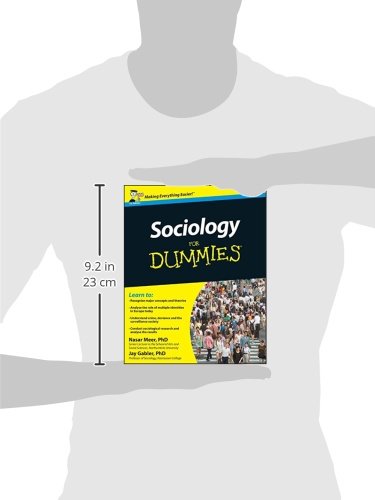 Sociology For Dummies - Image 3