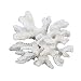 Beachcombers SS-BCS-01032 Coral Centerpiece, White