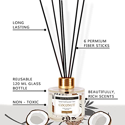 Image of Soul & Scents 120ml Coconut Reed Diffuser Set | Free 6 Fiber Reed Sticks | Stress Relief & Aromatherapy | Long-Lasting, Smoke-Free Air Freshener for Home, Bedroom & Office | Ideal for Gifting