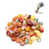 VOSSOT 500g Edelsteine für Kinder 10-20mm Natur Achat Halbedelsteine Bunt Trommelsteine Kinder Schatzsuche Kleine Edelsteine für Dekoration Aquarium, Edelsteinspiel, Kindergeburtstag
