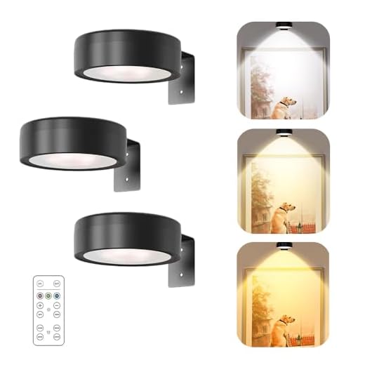 AXVRAV Juego de 3 luces LED con pilas, funciona con mando a distancia, luz magnética de pintura con 3 colores de iluminación y regulable con función de temporización, lámpara de imágenes inalámbrica