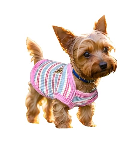 JcDuDoi Small Dog T-Shirt,Light Weight Stretchy Striped Dog Clothes,Breathable Soft Sleeveless Costume for Girl Boy Puppy, Chihuahua Yorkie Pet Pullover Outfit Cat Vest (Pink, X-Small)