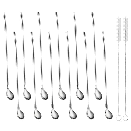 12 Pièces Cuillère Paille Inox Paille Granité 2 en 1 Inoxydable + 2 Brosses de Nettoyage pour Milkshakes Café Thé Cocktails