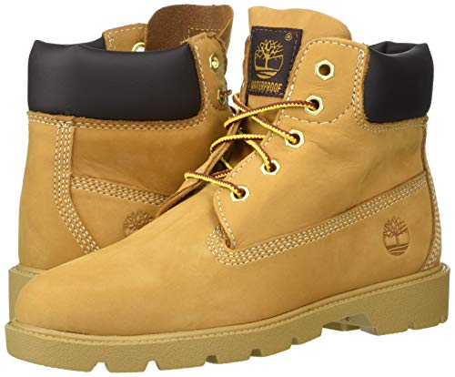 Image of Timberland Little Kid /Big Kid 6 inch Premium Waterproof Boot