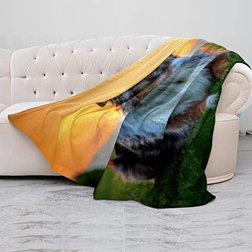 Couvertures chaudes et douces en microfibre imprimé animalier pour lit