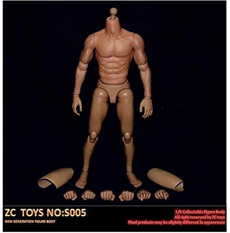 Amazon 1 6 フィギュア 用 男性 筋肉 素体 腹筋 ボディ アクセサリー カンフー 超可動 S005 フィギュア ドール 通販