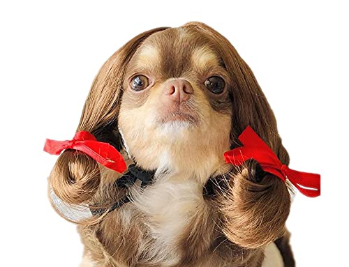 Lp ybgpEBbO  {u/At/cCe[ V[g Beɂ RXv (cCe[)