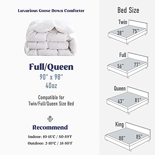 Puredown® Goose Down Comforter Full/Queen Size, Pinch Pleat Duvet Insert, 800 Fill Power Cloud Fluffy Extra Warmth For Winter, Filled With 93% Goose Down #TOP5