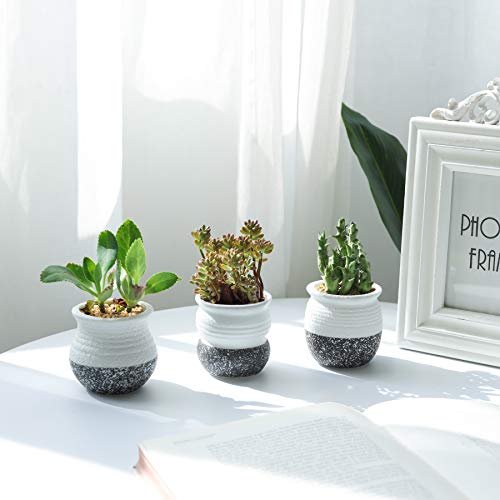 T4U 2.5 Inch Small Ceramic Succulent Planter Pots With Drainage Hole Set Of 12, Snowflakes Glazed Porcelain Handicraft As Gift For Mom Sister Home Office Table Desk Decoration #TOP2