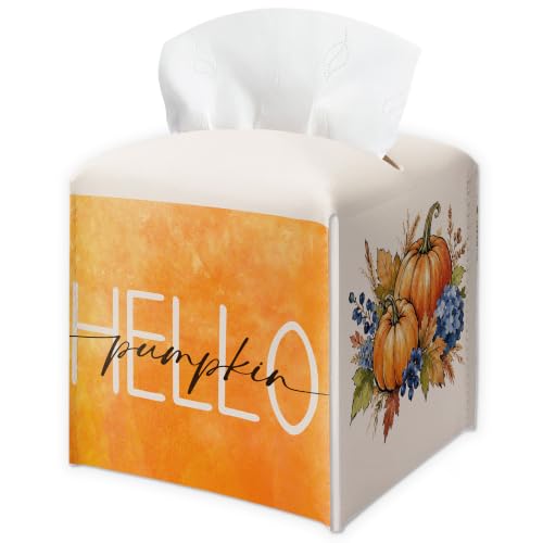 Fall Tissue Box Cover, Hello Fall & Pumpkin Tissue Holder, Autumn Waterproof Facial Paper Organizer, Farmhouse Decor for Home Bathroom Kitchen Countertop, Thanksgiving Decorative Desk Decor - B01 by IKFRGN - Used condition - US$10.59