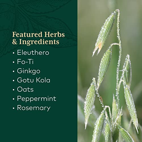 Gaia Pro Cognitive Formula - Brain Boost & Blood Flow Supplement - Provides Antioxidant Activity Support - With Rosemary, Organic Peppermint & Gotu Kola - 60 Vegan Liquid Phyto-Capsules (30 Servings) #TOP3