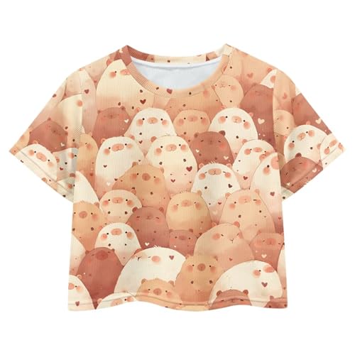 Image of Girls Crop Tees Crew Neck Casual Short Sleeve T Shirts Kids Loose Soft Comfortable Tees Blouses Shirt for Little Girl