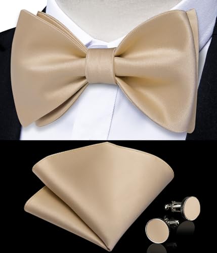 Image of DiBanGu Satin Bow tie Self-Tied Bowtie Set for Men Wedding Prom | Solid Color,Skin-Friendly,Versatile Accessory,Lapel Pin,Pocket Square,Cufflinks,School Dance,Banquet,Dinner,Celebration