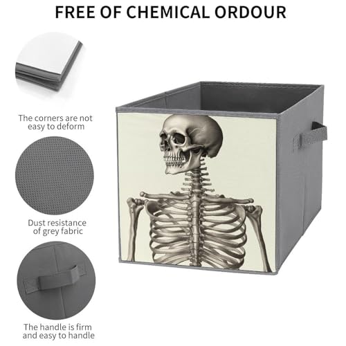 Cubes de rangement pliables imprimés squelette pour optimiser le tri des vêtements - 4