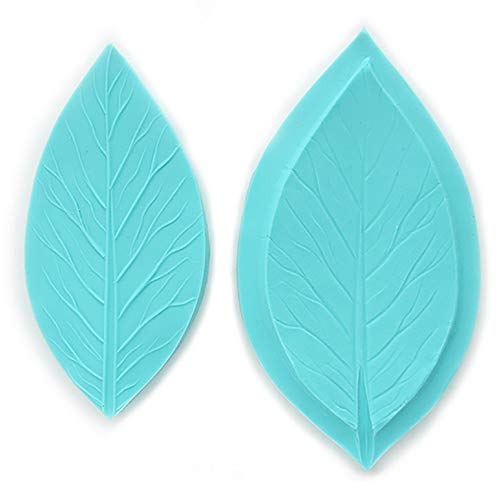 Southern Magnolia Double-Sided Leaf Veiners