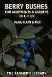 Berry Bushes for UK Allotments & Gardens: A Beginner’s Guide to Planning, Planting, Pruning & Picking Raspberries, Currants, Gooseberries & More
