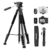 K&F Concept Camera Tripod, 75″ Lightweight Portable Travel Outdoor DSLR Tripods for Camera Phone Video Recording Tripod Stand, Cellphone Clip for Smartphone Live Streaming Vlog, Black