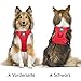 PoyPet Reflektierendes, weiches, atmungsaktives Hundegeschirr aus Mesh, erstickungsfreie, doppelt gepolsterte Weste mit verstellbarem Hals und Brust(Rot,S)
