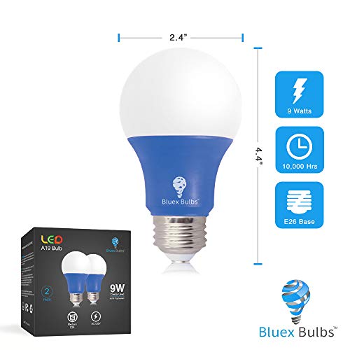 Bluex Bulbs 2 Pack Bluex LED A19 Light Bulb - 9W (60Watt Equivalent) - E26 Base Blue LED Blue Bulb, Party Decoration, Porch, Home Lighting, Holiday Lighting, Decorative Illumination (Blue)