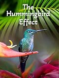 The Hummingbird Effect