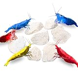 JOR 2 oz Hermit Crab Rocks, Natural Calcium Stones...