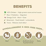 Canine Choice Premium Trockenfutter für ausgewachsene Hunde - Huhn & Reis 2kg | 40% Huhn, 30% Reis | Hypoallergenes Naturfutter für Verdauungsgesundheit, Energie & Immununterstützung
