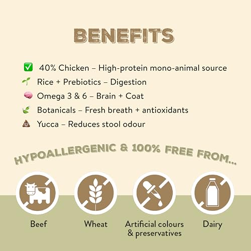 Canine Choice Premium Trockenfutter für ausgewachsene Hunde - Huhn & Reis 2kg | 40% Huhn, 30% Reis | Hypoallergenes Naturfutter für Verdauungsgesundheit, Energie & Immununterstützung