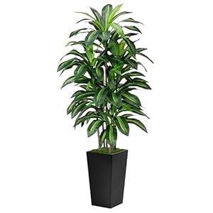 Artificial Dracaena Tree 5FT – Fake Tree with Black Tall Planter – Faux Yucca Tall Fake Floor Plant in Pot – Artificial Plant for Home Office Living Room Decor Indoor