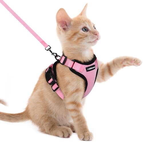 rabbitgoo Pettorina Gatto Antifuga con Guinzaglio, Guinzaglio per Gatti Regolabile, Pettorina Cane Taglia Piccola Riflettente, Imbracatura Gatto Adulto in Maglia Traspirante per Passeggiate, Rosa, XXS