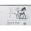 BAZIC 20 Ct. 18 X 12 Premium Sketch Pad