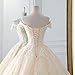 Vestidos Champagne Bola de la Manga Vestido de Novia Vestido de Novia...