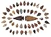 Arrowheads Lot of 52 Indian Points Agate Chert Flint New Project Points (50) 1-1.5