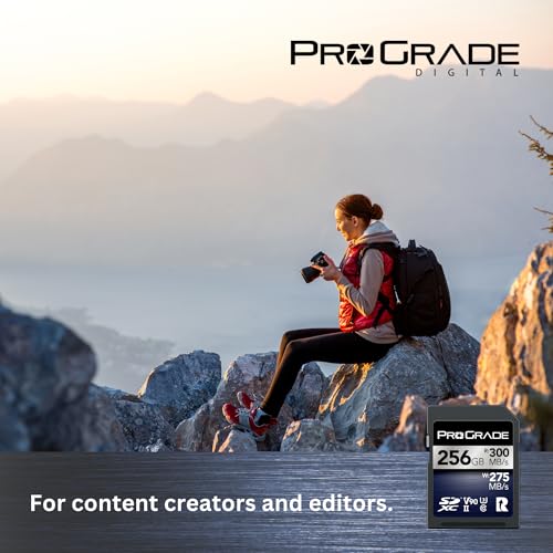 Image of ProGrade Digital SDXC UHS-II V90 Iridium Memory Card (256GB)