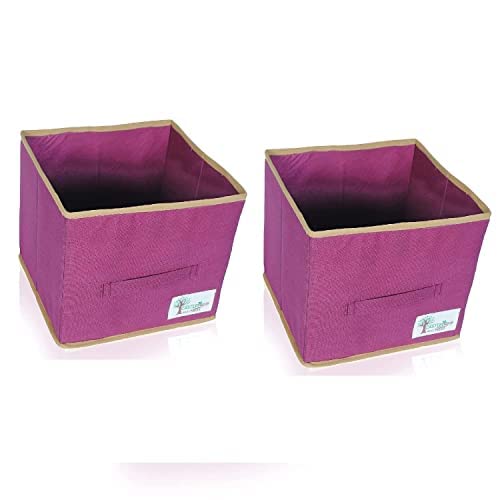 CASTLES AND NEST Foldable Storage and Non Woven Foldable Multipurpose Storage Cubes/Boxes SET OF 2 Maroon
