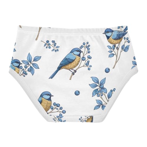Cute Birds Blue Flowers Toddler Girl Underwear, Girls Cotton Underwear, 2T–8 Years2