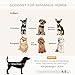 PawHut Luxus Hundesofa Katzensofa Tier Sofa Hundecouch Couch Hundebett Tierbett