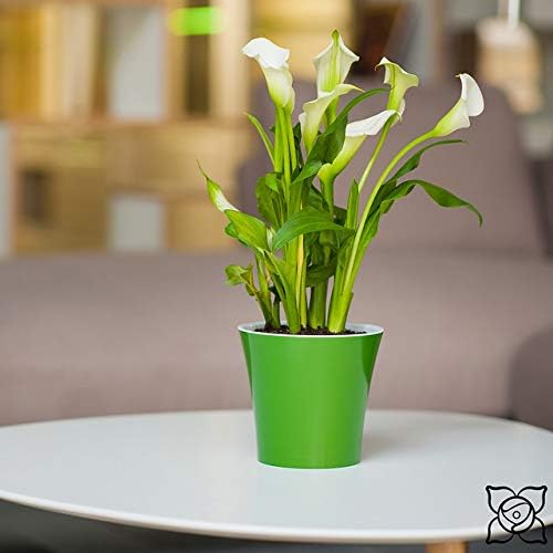 Miniatura 7 de Macetero de autorriego ARTE