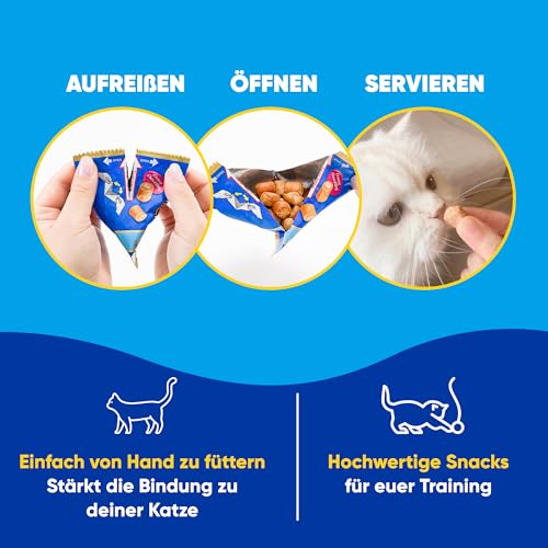 INABA Churu Fun Bites Hochwertige Proteine mit 56% Huhn, Ohne Getreide, Ohne Zucker Katzen Leckerlies, Ohne Tierische Nebenprodukte, Weiche Leckere Katzenleckerlis in kleinen Häppchen 96 g (1er Pack)