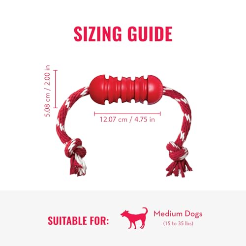 KONG Dental mit Seil - Für die Zahnpflege von Hunden - Befüllbares Kauspielzeug - Reinigt Zähne und Zahnfleisch - Für Mittelgroße Hunde