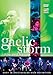 Gaelic Storm - Live in Chicago