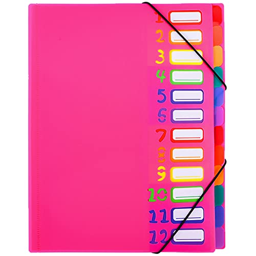 Erweiternde Dateiordner Projektmappe A4 Ordnungsmappe Pultordner 12 Fächer 24 Taschen Kunststoff Akkordeon Dokument Veranstalter bunte Dateiordner für Schule Bürobedarf (Rosarot)